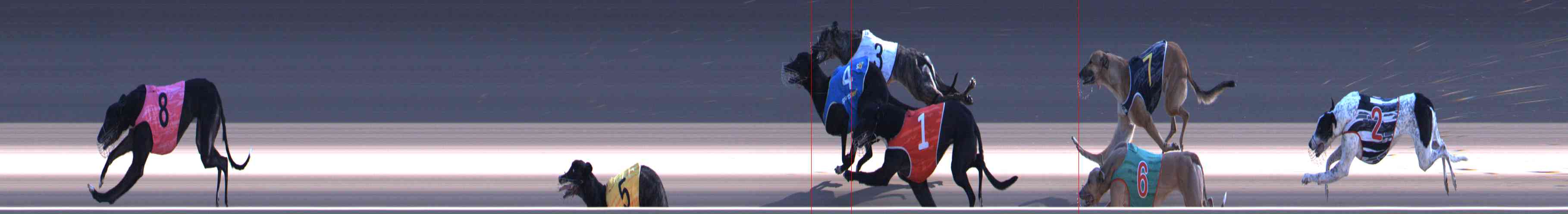 Race result finish photo